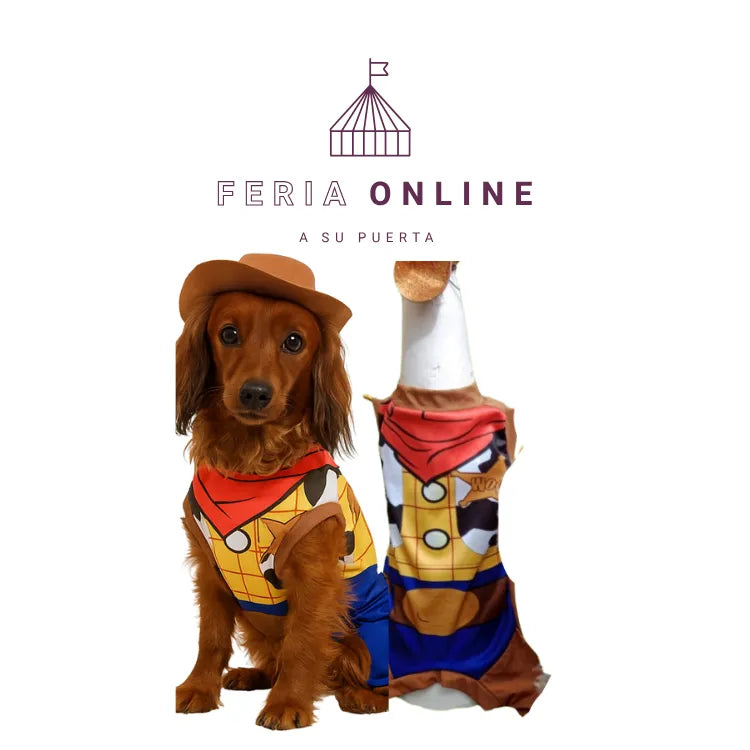 DISFRAZ DE WOODY