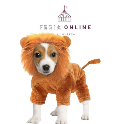 DISFRAZ LEON