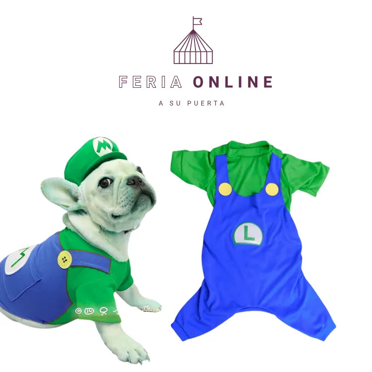 DISFRAZ DE MARIO Y LUIGI