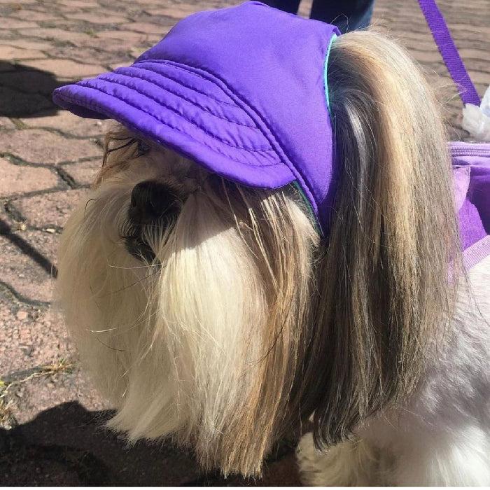 Gorra para Mascotas