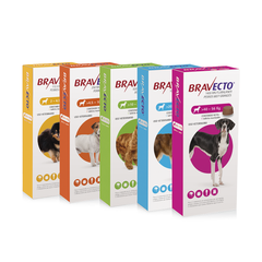 Bravecto Tableta Masticable - Antipulgas y Antigarrapatas