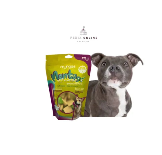 Galleta Menta X 200 GR