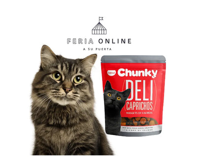 Chunky Delicaprichos Gatos Salmón