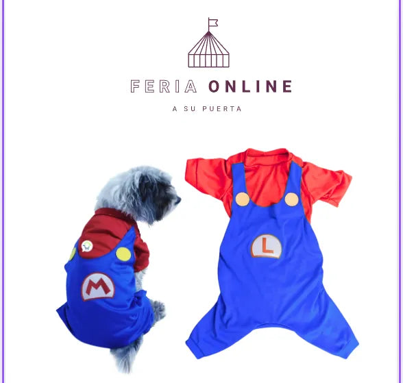 DISFRAZ DE MARIO Y LUIGI