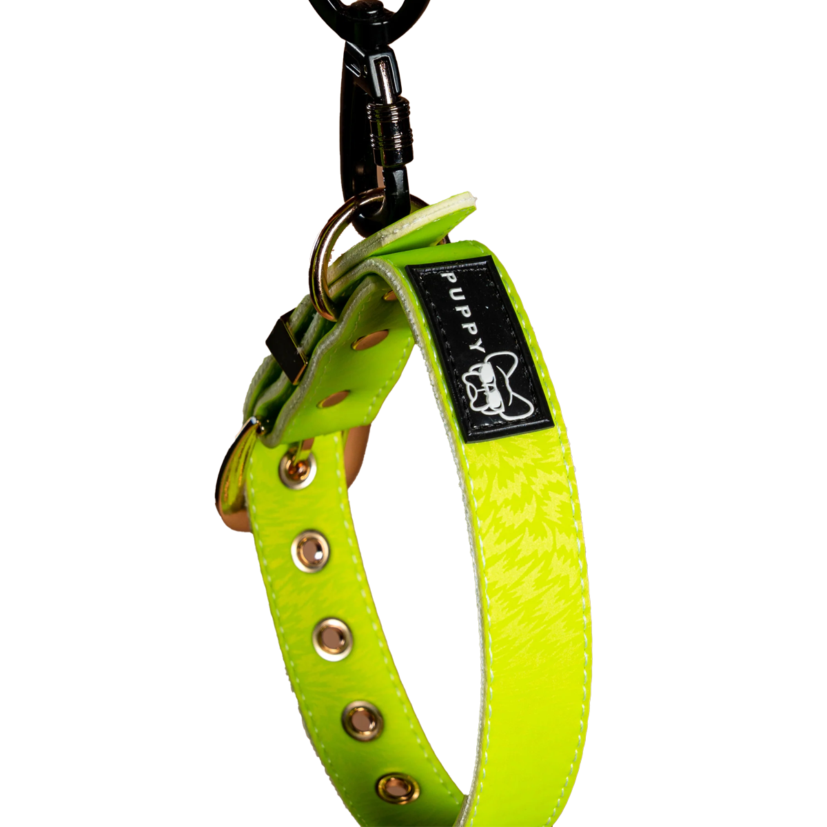 Collar + Correa Premium Puppy Pets