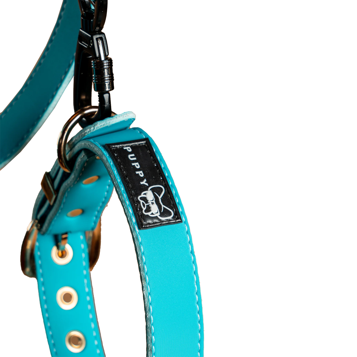 Collar + Correa Premium Puppy Pets