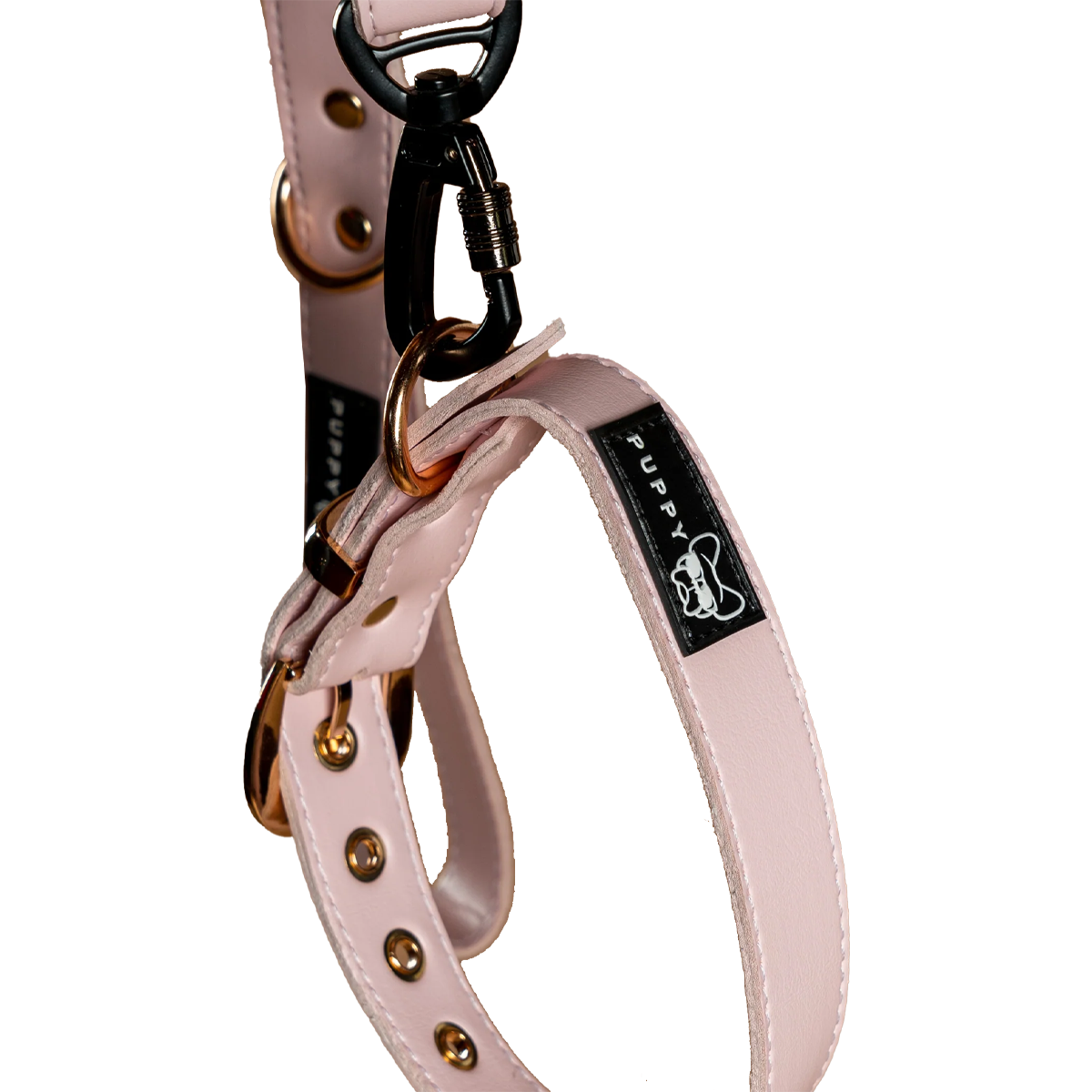 Collar + Correa Premium Puppy Pets