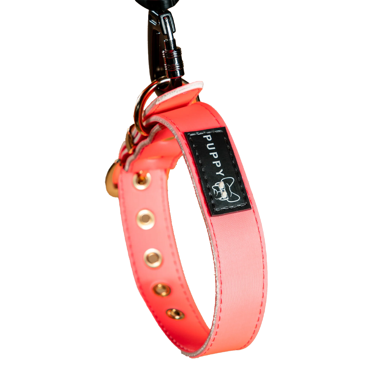 Collar + Correa Premium Puppy Pets