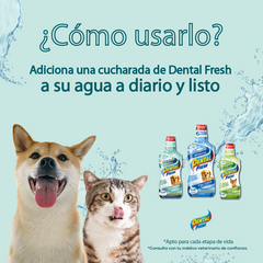 Dental Fresh Original 8OZ