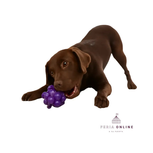 Pelota Átomo Maciza