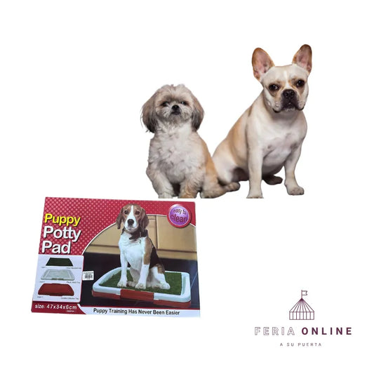 Base Sanitaria Con Gramilla Para Perros Pequeños