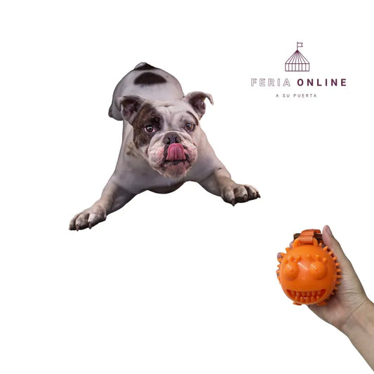 Juguete Multiusos Con Cepillo Dental Para Mascotas