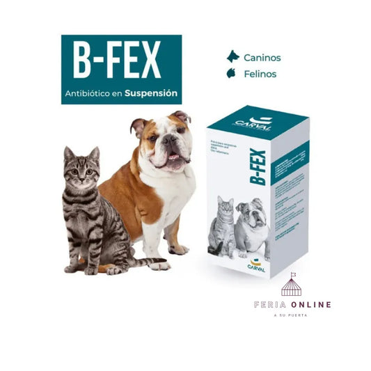 B - Tex Suspensión 60 ML