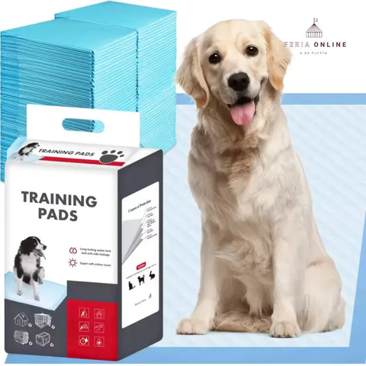 Tapete Educador, 45*33CM talla s, 100pcs/bolsa
