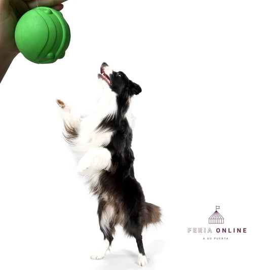 Pelota Premio TPR