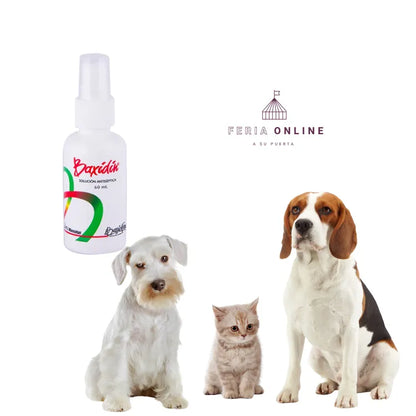 Baxidin Spray 60 ML