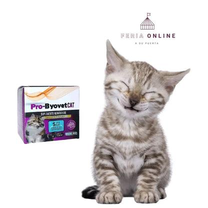 Pro- Byovet Cat