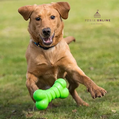 Juguete Hueso Macizo Para Perro