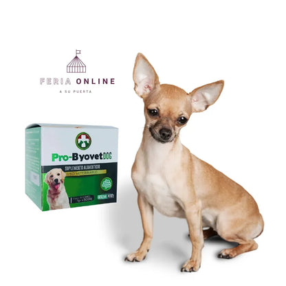 Pro- Byovet Dog