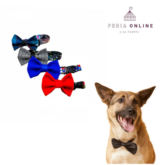 Collar Corbatín