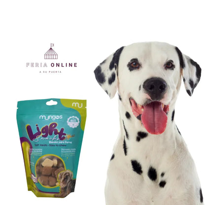 Galletas Ligh x 200 GR