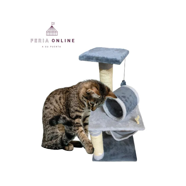 Gimnasio Pequeño para Gatos