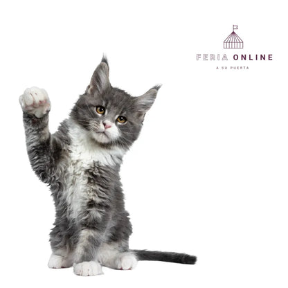 Deslanador Para Gatos