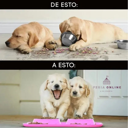 COMEDERO Y BEBEDERO