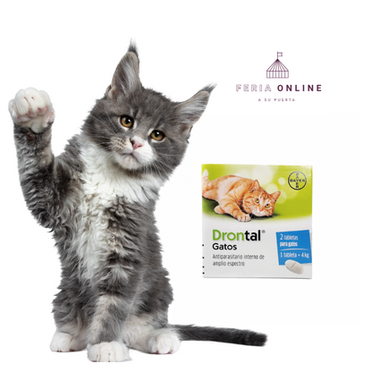 Antiparasitario Interno Drontal Ps Para Gatos En Tabletas