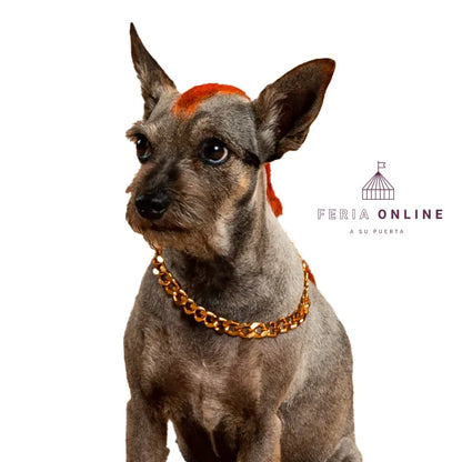 Cubana para Mascotas Puppy Pets