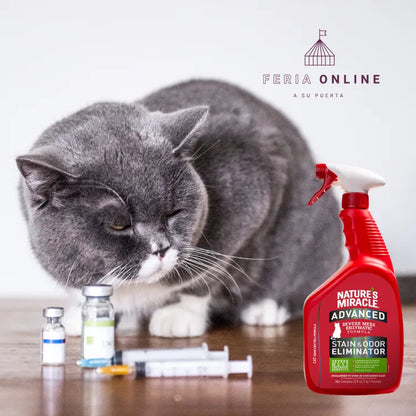 Nature Miracle Eliminador de Manchas y Olores para Gatos