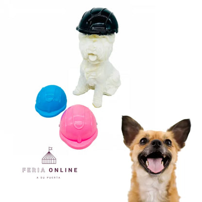 Cascos Para Mascotas