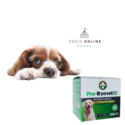 Pro- Byovet Dog