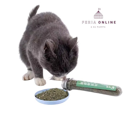 Tubo De Catnip