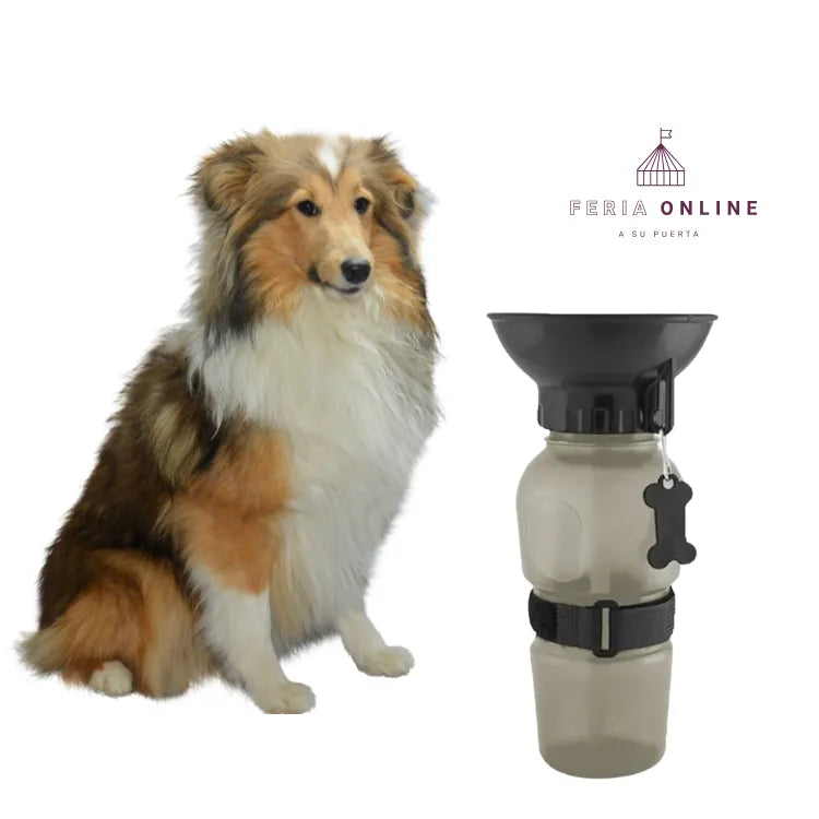 Bebedero Aqua Dog