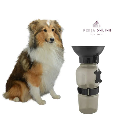 Bebedero Aqua Dog