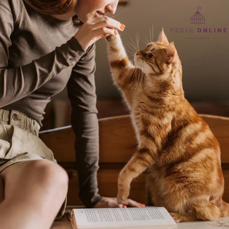 Varas Para Gato Con Pompones