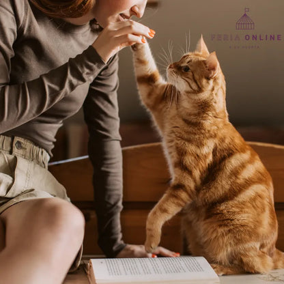 Varas Para Gato Con Pompones