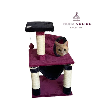 Gimnasio Pequeño para Gatos