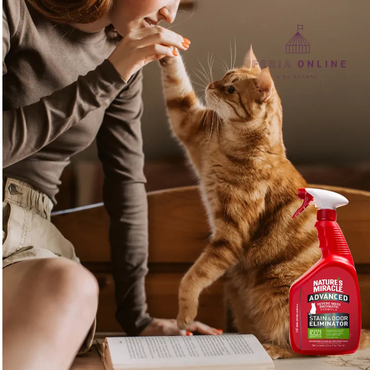 Nature Miracle Eliminador de Manchas y Olores para Gatos