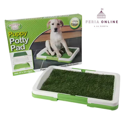 Base Sanitaria Con Gramilla Para Perros Pequeños