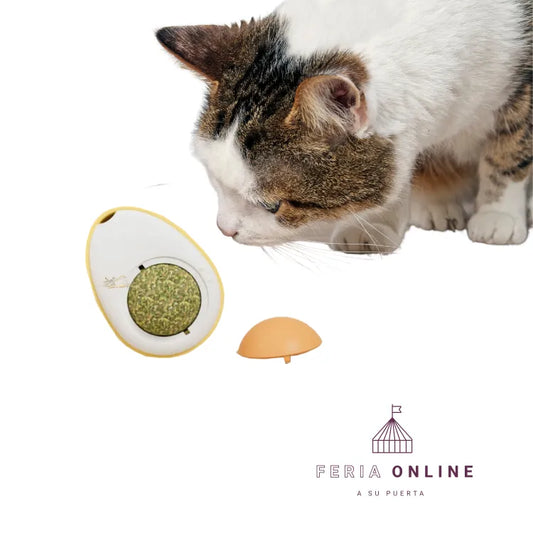 Bolita De Catnip Giratoria Forma de Huevo