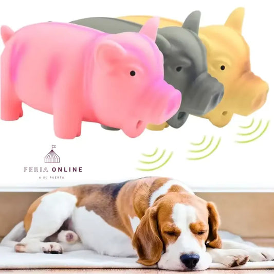 Cerdo Chillón