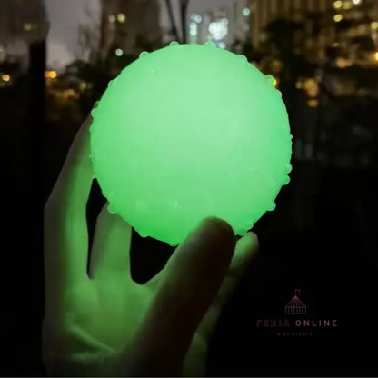 Pelota Neon Para Mascotas