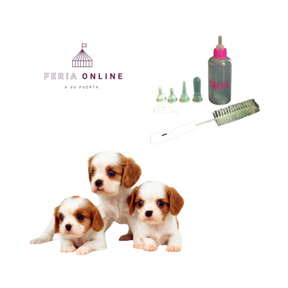 Set Biberón 60ml.