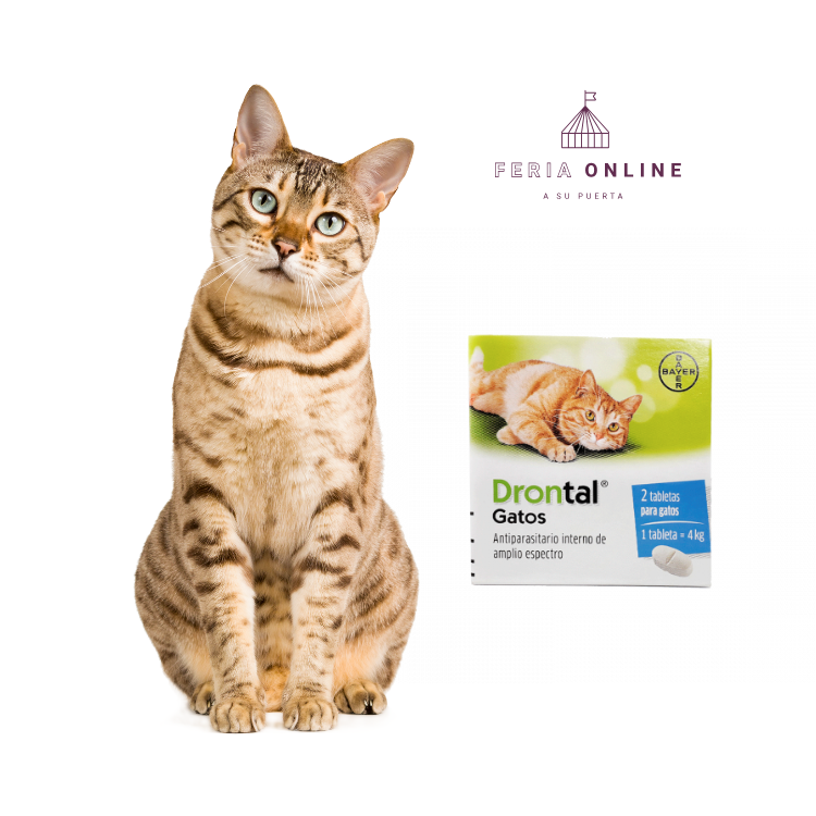 Antiparasitario Interno Drontal Ps Para Gatos En Tabletas
