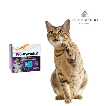 Pro- Byovet Cat