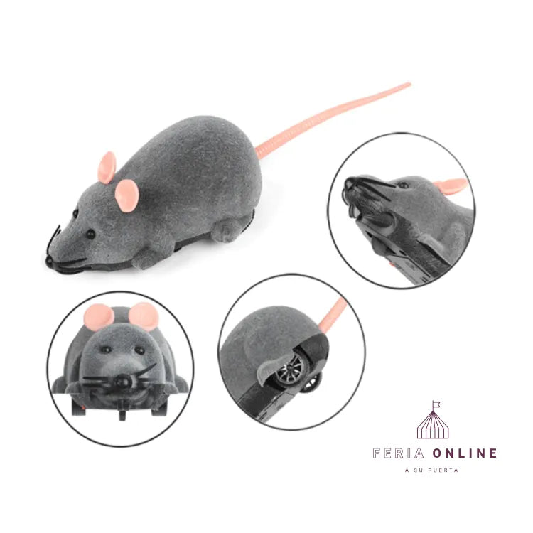 Ratón con Control Remoto