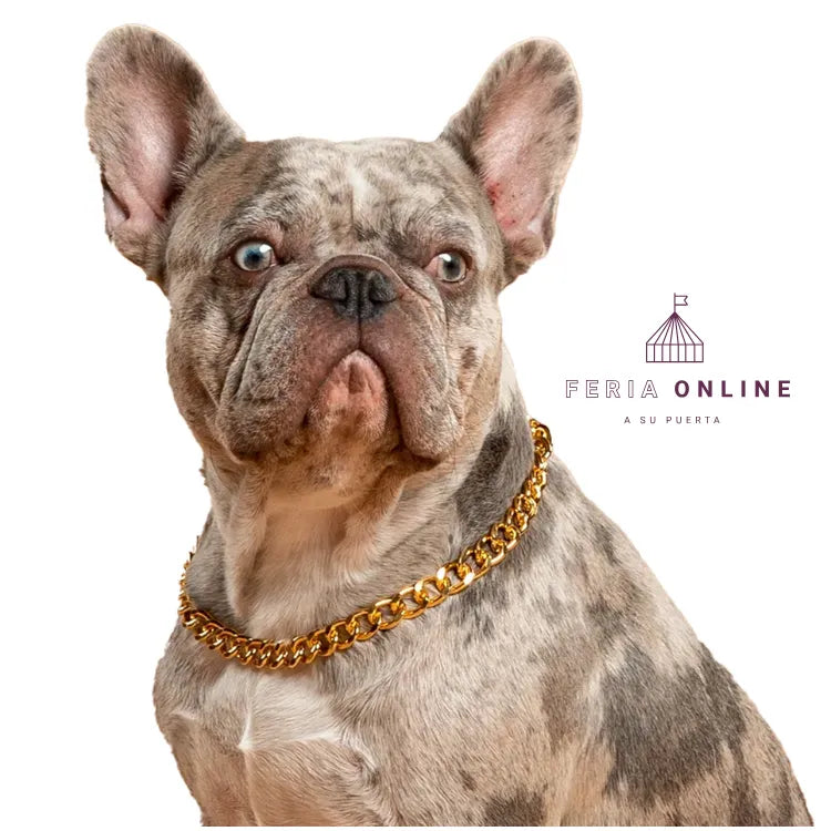 Cubana para Mascotas Puppy Pets