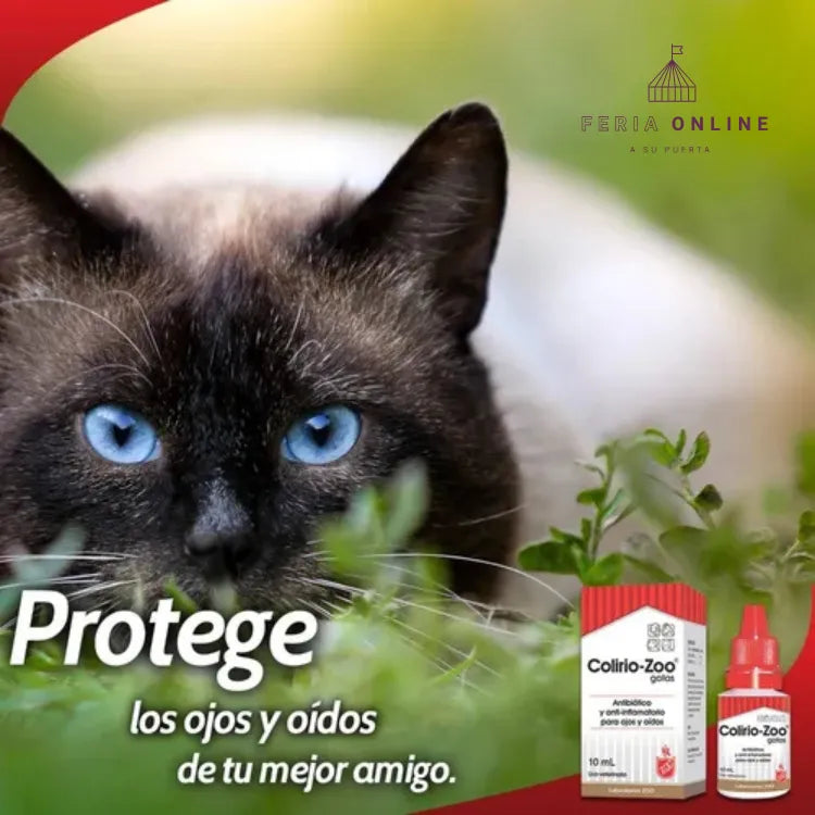 Colirio-Zoo - Antibiótico y Antiinflamatorio para Ojos y oidos